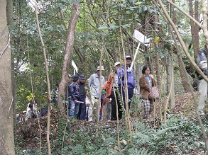 �r���̉����