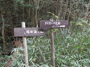 �������(1)