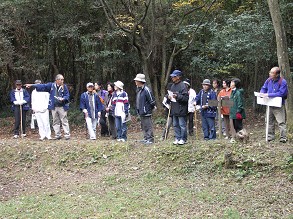 �_�C�{�[�̑��Ղł̐���