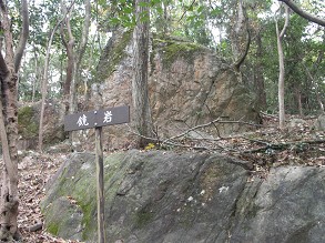 ����ɓ���