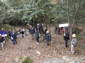 ����O�ł̐���