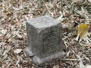 �O���O�p�_