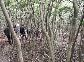 �т̒�������