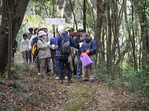 ������Ƌx�e