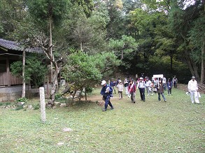 �������ɓ���