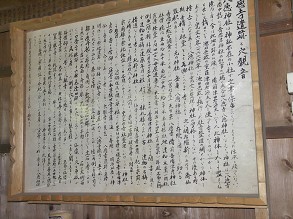 �����������Ŕ�