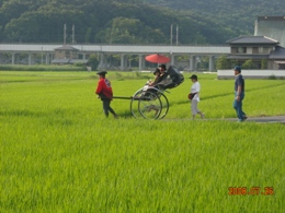 �c�����i�̒���i�ޖؓ��v��