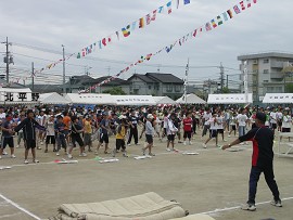 ���W�I�̑�