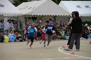 �T�O������