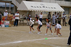 �P�O�O������