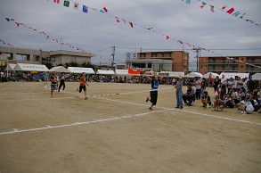 �U�O���������q