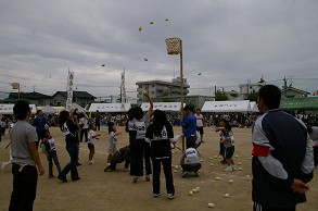 ���ΐ��ʓ���