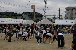 ����c�n�ʓ���