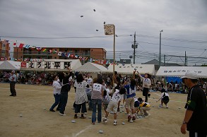 ����n�C�c�ʓ���