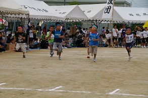 ���w�������ʃ����[