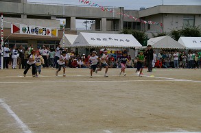 ���q�U�O�Om�����[