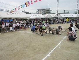 ��Q�������i�ԁj