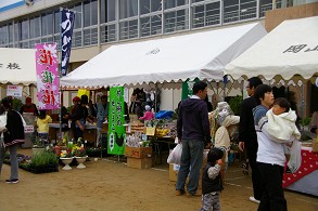 ����ڂ����P