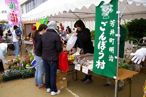 ����ڂ����Q