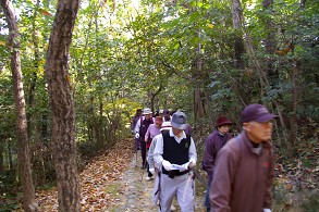 ���Z���{����O