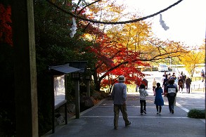 �Q�����t��