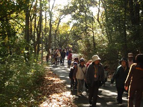 �Ñ�g���������Z���^�[��O