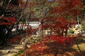 ��ˎ�O�̍g�t