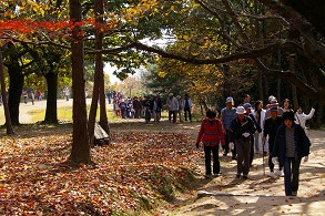 ��˂̎�O������Q����