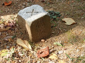 �����̐�