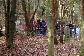 �����𕷂��Q����