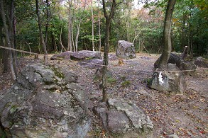 ����߂̑S�i