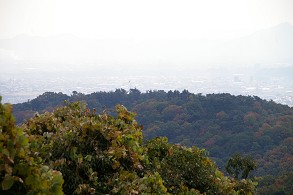 �_���R����