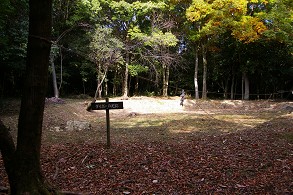 �_�C�{�[�̑���