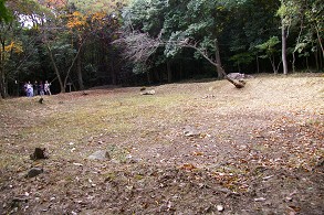 �����𕷂��Q����