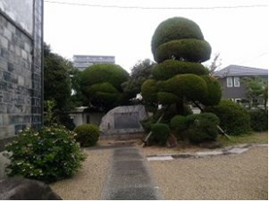 夏目金之助写真1