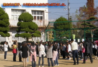 ��̗l�q�A�T�N���݂̂�Ȃ�����΂�܂����B