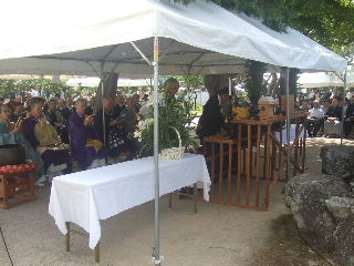 �����Q�P�N�@�@���Ձi�S�Q�V����j�@�T