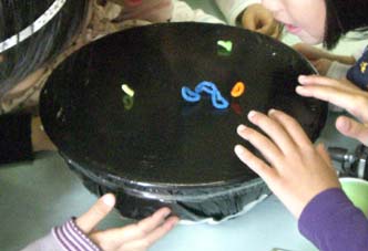 �r�j�[������Ń��[���ō�����l�`���x��