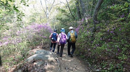 木漏れ日の中を歩く 木漏れ日の中を歩く