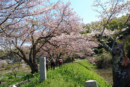 花木を愛でながら歩く 花木を愛でながら歩く