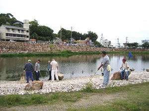 清掃活動の様子 清掃活動の様子