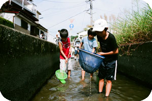 倉安川の生き物調査で網を手に川に入って生き物を探す子どもたち 倉安川の生き物調査で網を手に川に入って生き物を探す子どもたち