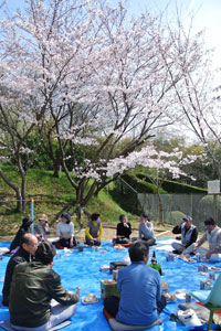 お花見会 お花見会