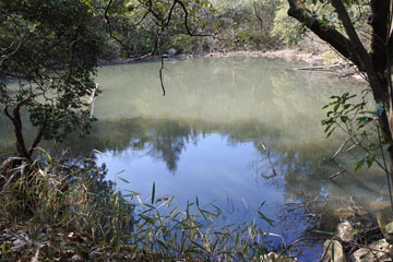 鳥池 鳥池