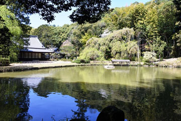 曹源寺庭園内池 曹源寺庭園内池