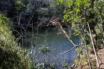 塔之下池 塔之下池