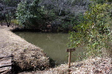 奥の谷池 奥の谷池