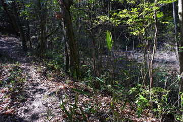 (池の跡) (池の跡)
