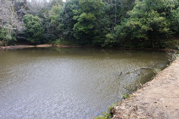 神宮寺上池 神宮寺上池