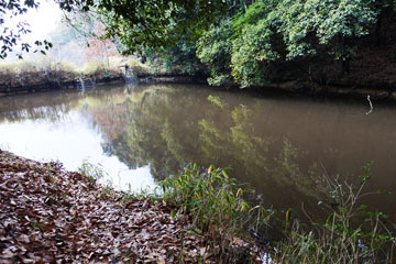神宮地下池 神宮地下池